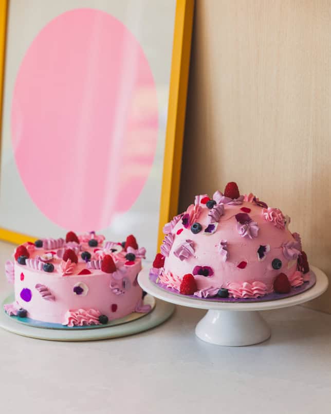 pink maximalist cakes duo cococakeland