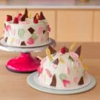 maximalist dome cake duo