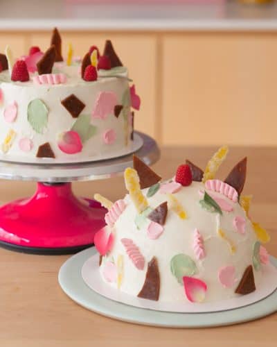 maximalist dome cake duo