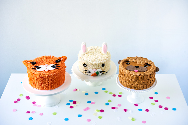 animal birthday cakes craftsy class
