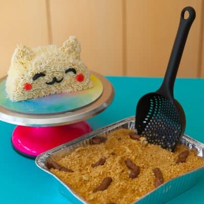 litter box cake with cat cake buddy