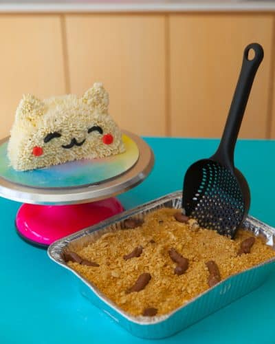 litter box cake with cat cake buddy