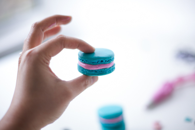 blue and pink french macaron by coco cake land