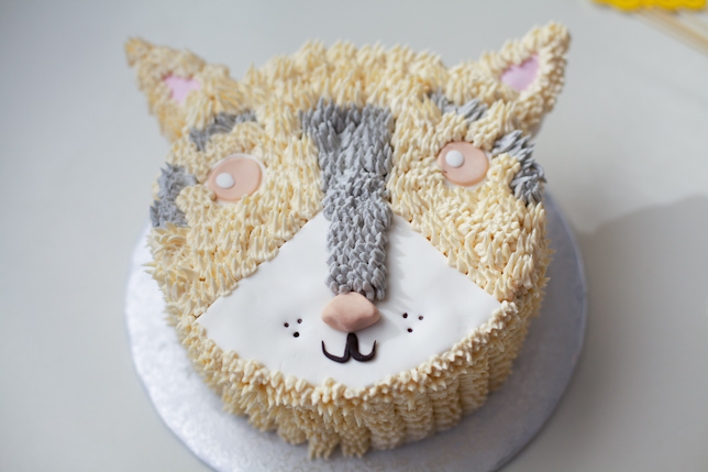 husky dog cake - coco cake land