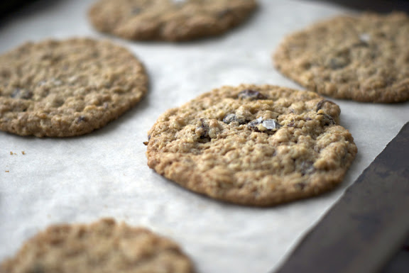 oatmeal raisin cookies on baking tray