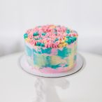 pastel painted cake