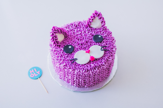 cococakeland purple cat cake