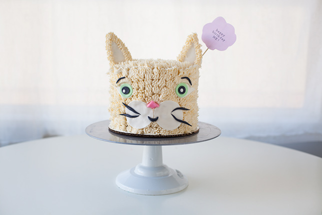 cake cat with whiskers on stand