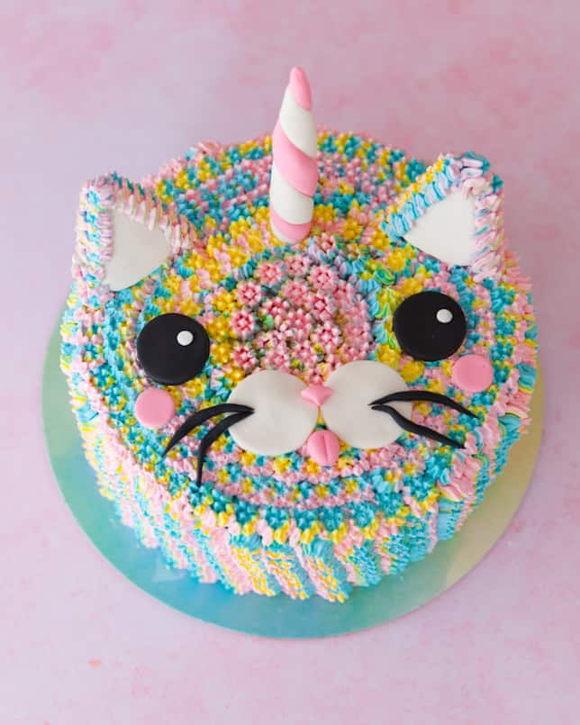 DIY rainbow cat unicorn cake