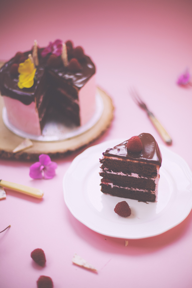 chocolate drippy raspberry brownie cake - coco cake land