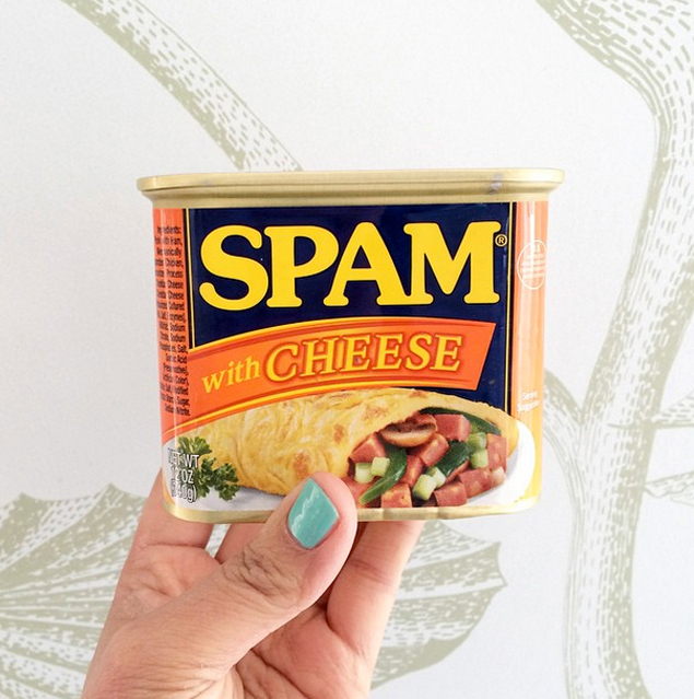 spam with cheese 