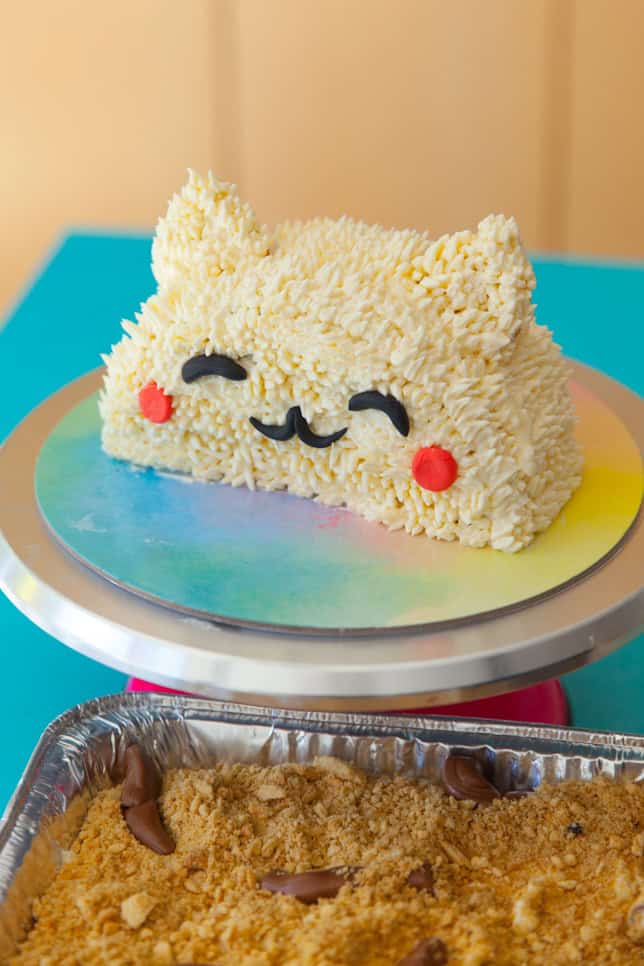 litter box cake with bestie cat cake