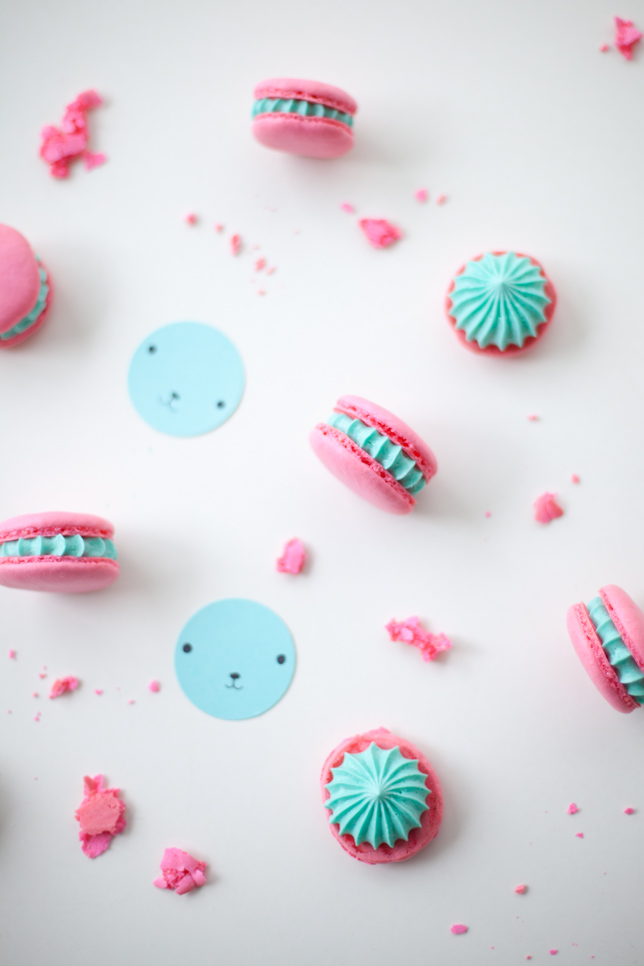 pink and blue buttercream macarons - Coco Cake Land